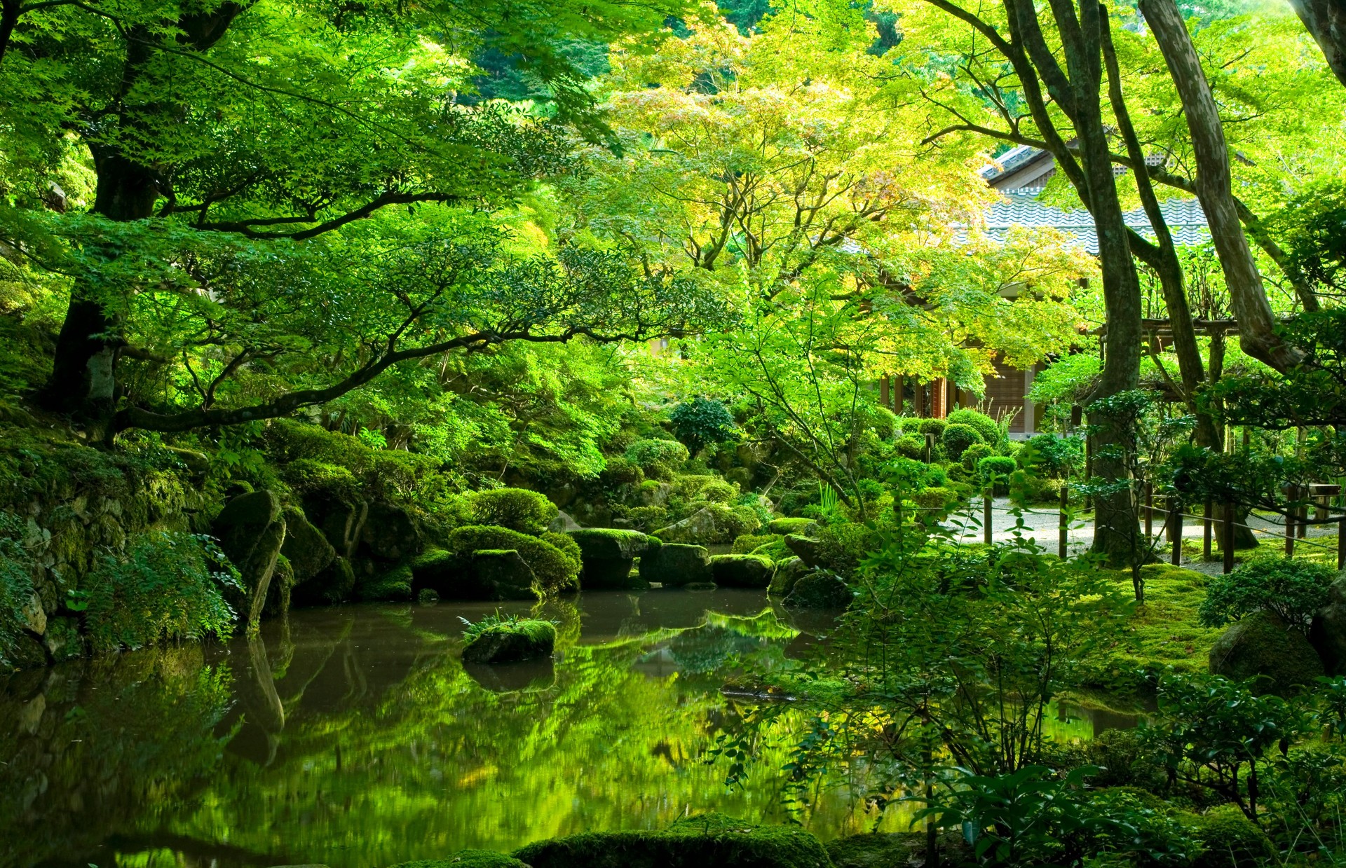 Japanese Garden