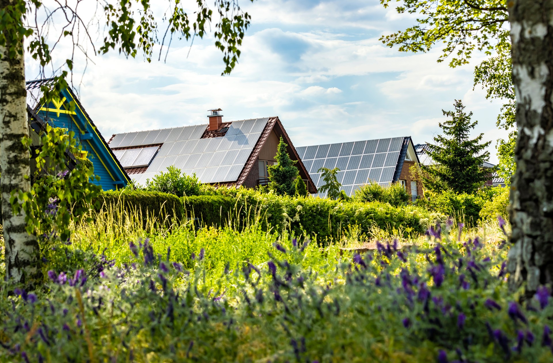 Houses with solar panels