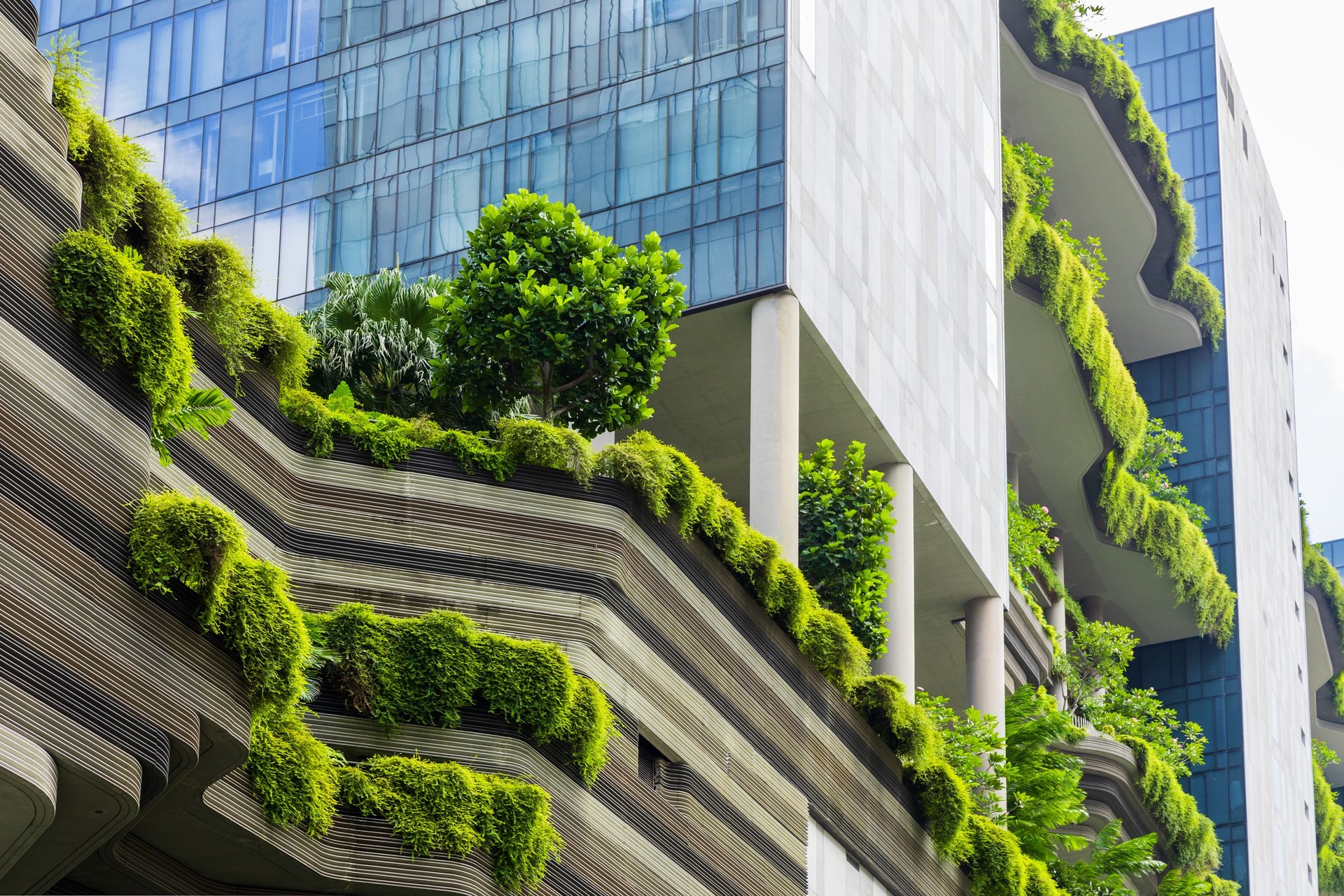 Vertical Garden – Sustainable Resources – Green Building